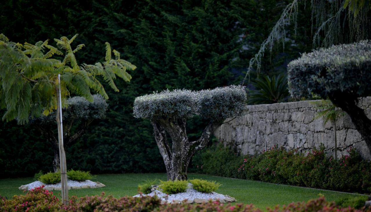 Casa Das Carpas Vizela Kültér fotó